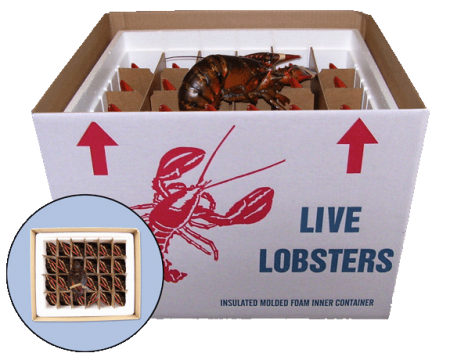 lobster-box